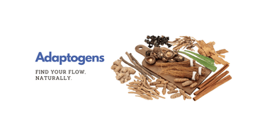 Adaptogens for Balance & Resilience | Natural Stress Support