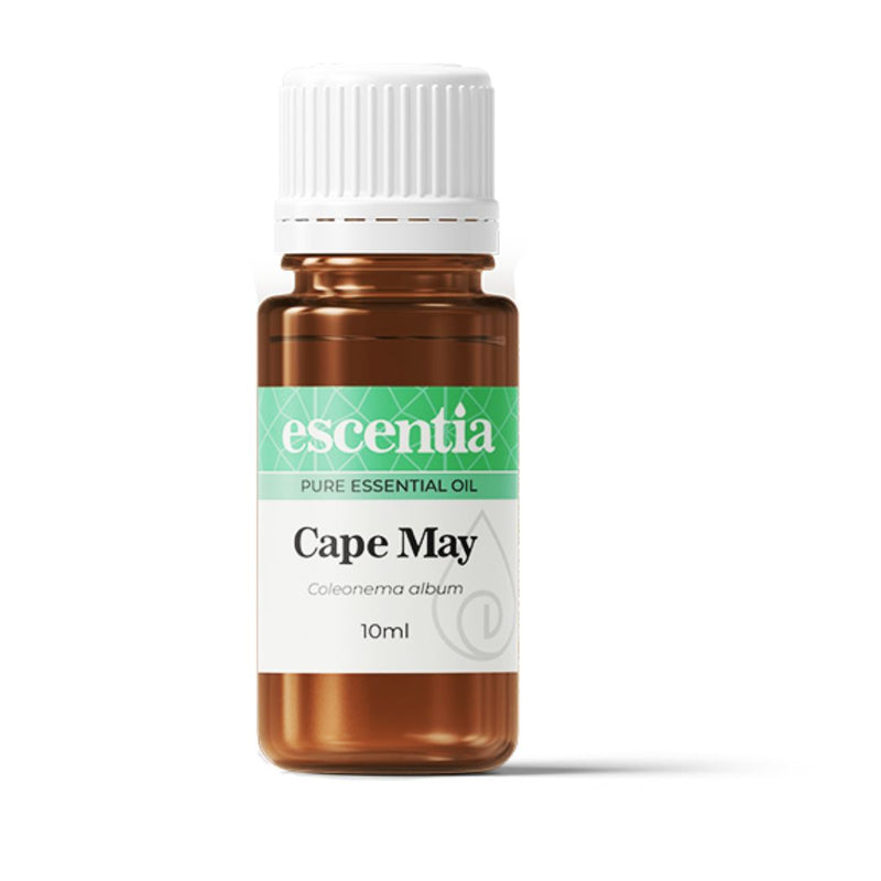Cape Snowbush Essential Oil bottle