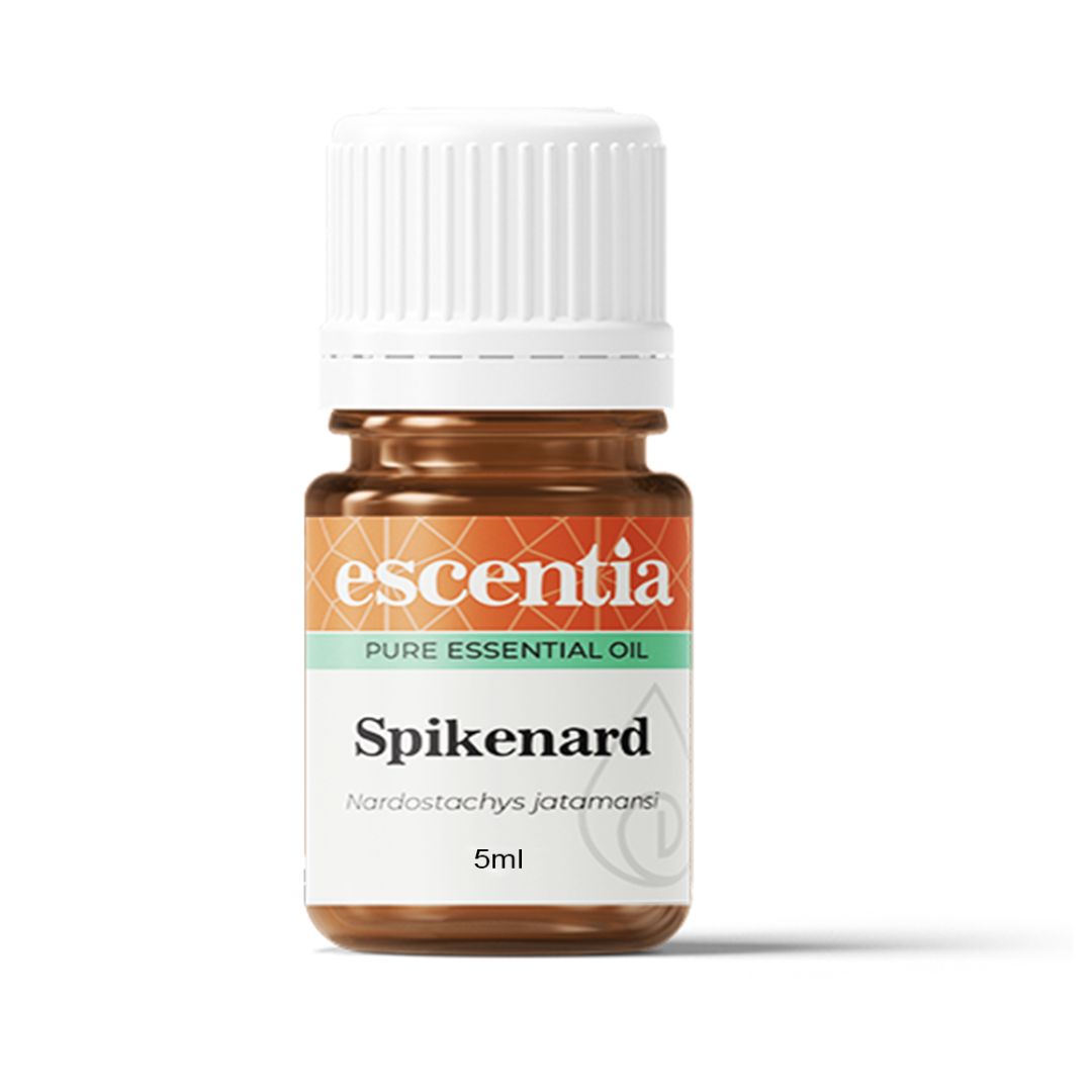 Buy Pure Spikenard Essential Oil - Emotional Balance & Skin Health
