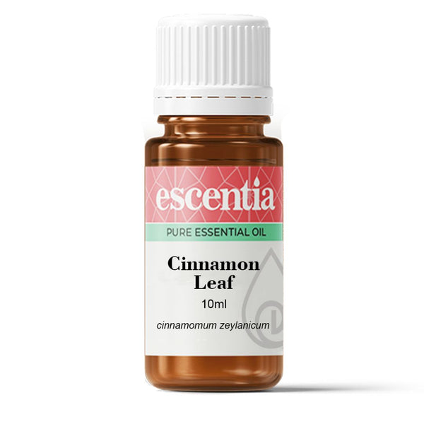 Escentia Cinnamon Leaf Pure Essential Oil