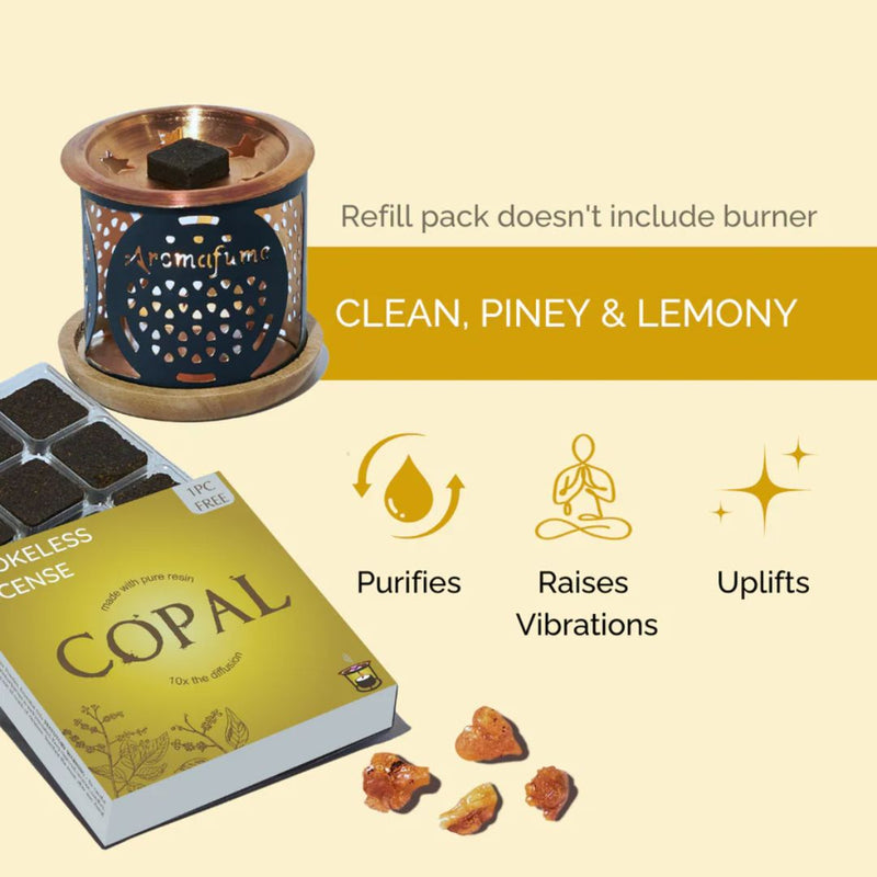 Aromatherapy product with copal incense and burner on a beige background