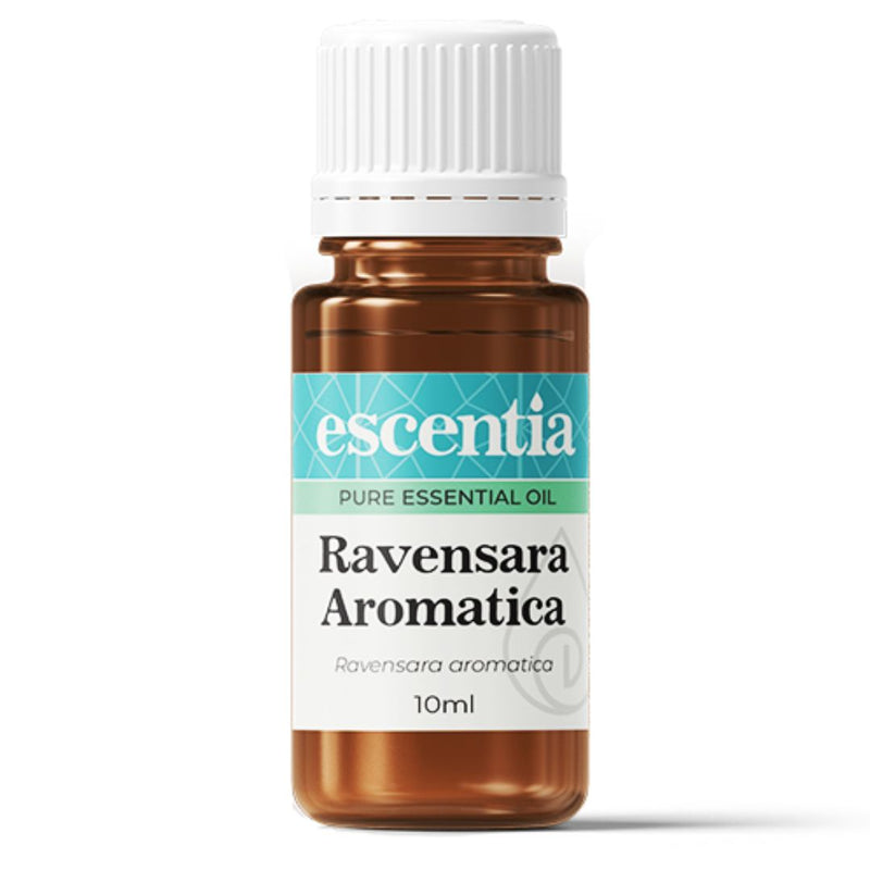 Escentia Ravensara Aromatica Pure Essential Oil
