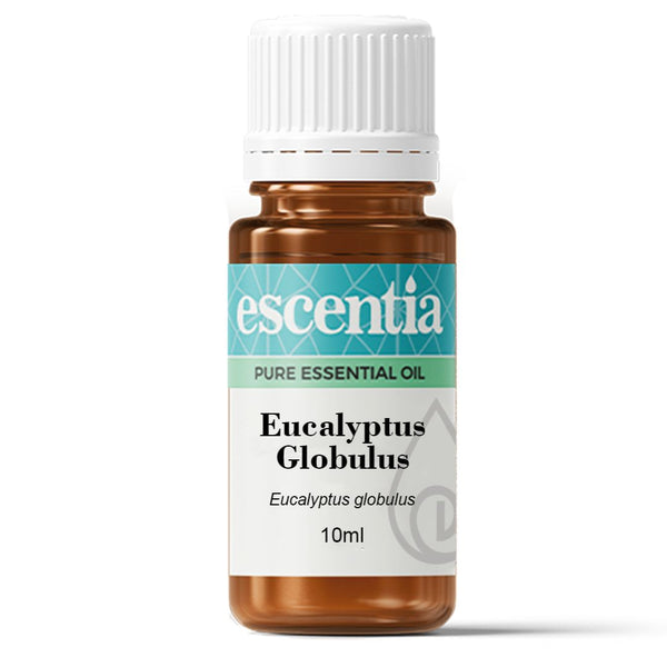 Escentia Eucalyptus Globulus Pure Essential Oil