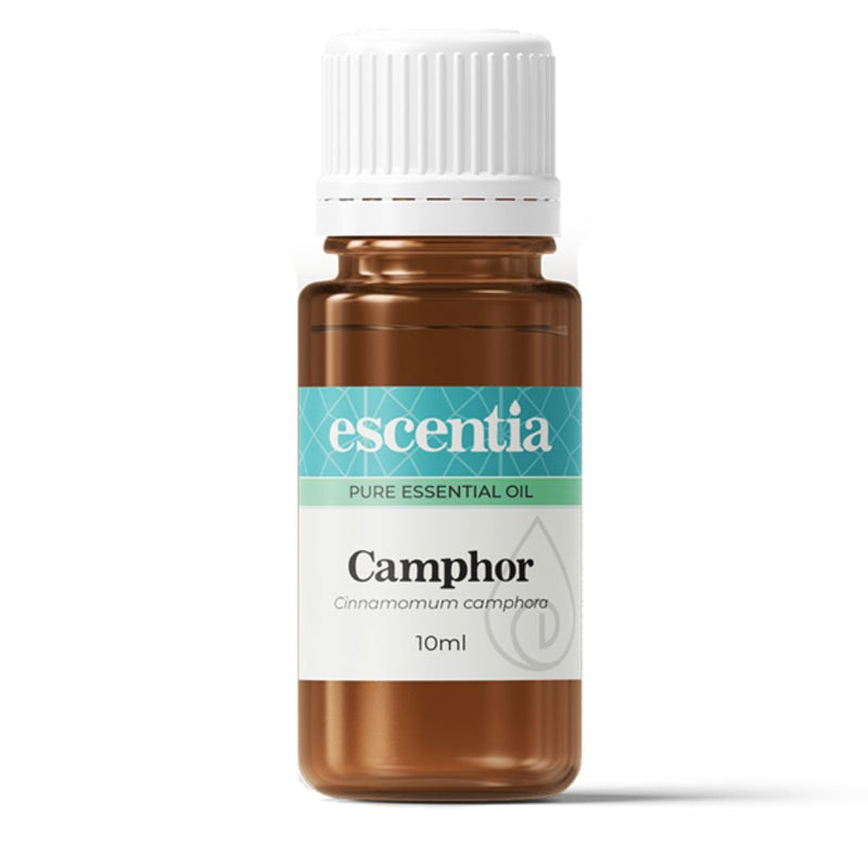 Escentia Camphor Pure Essential Oil