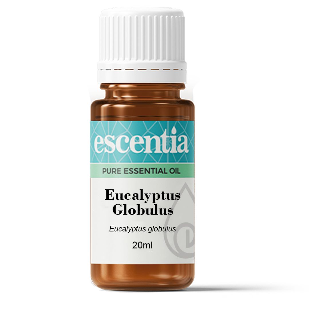 Escentia Eucalyptus Globulus Pure Essential Oil