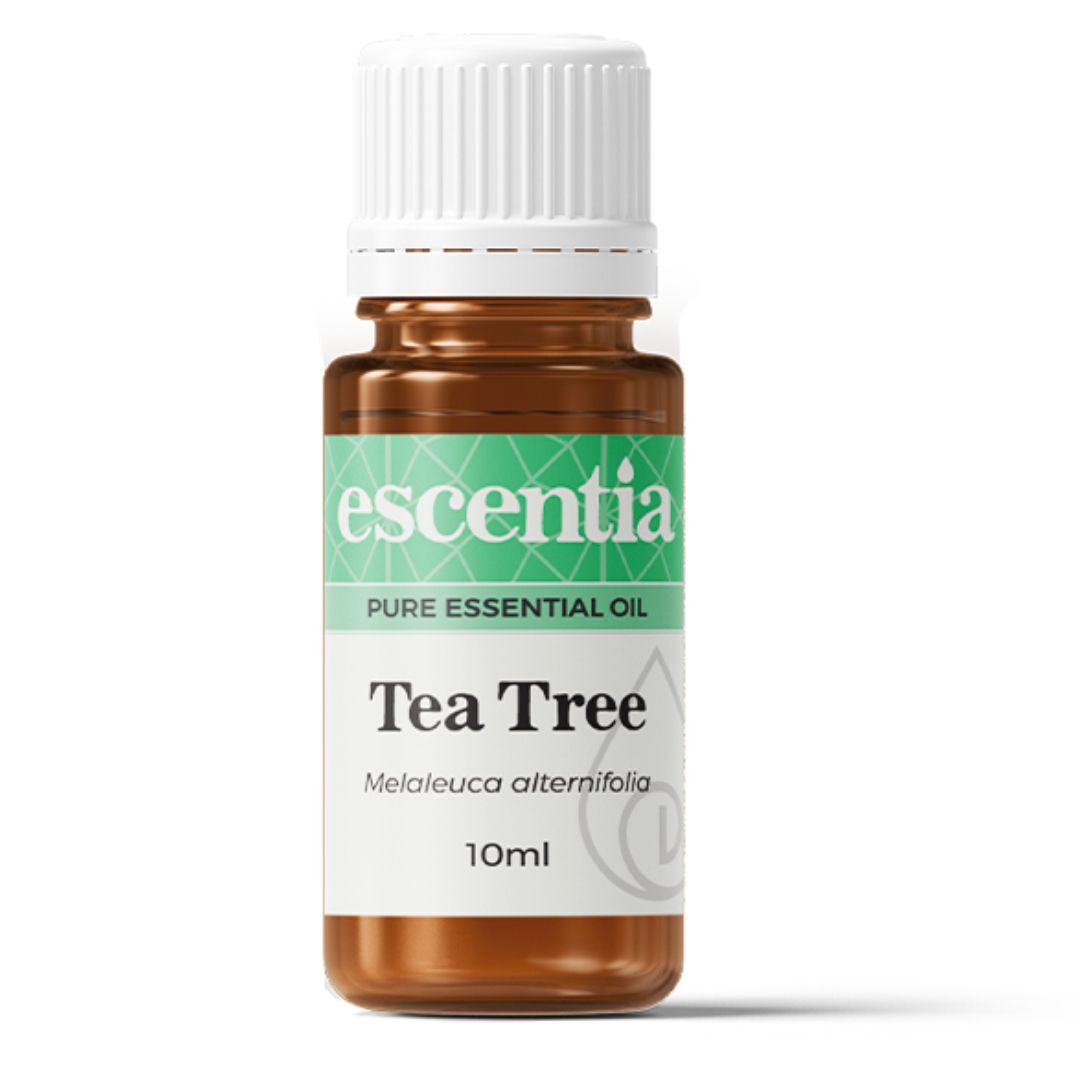Escentia tea-tree essential oil bottle, pure organic antiseptic healing from South Africa