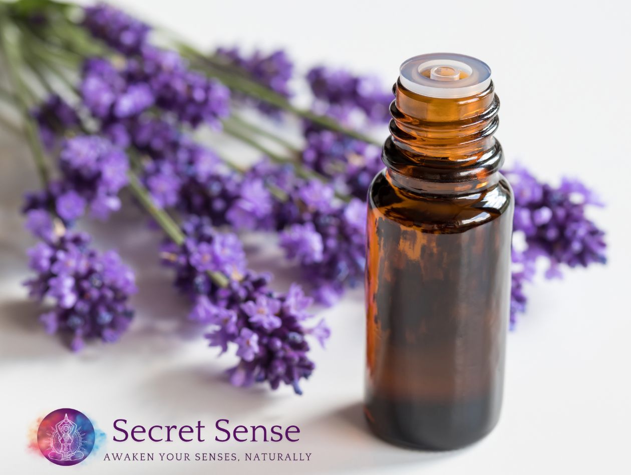 Escentia lavender essential oil bottle with fresh lavender flowers — Secret Sense pure oils for calm and healing