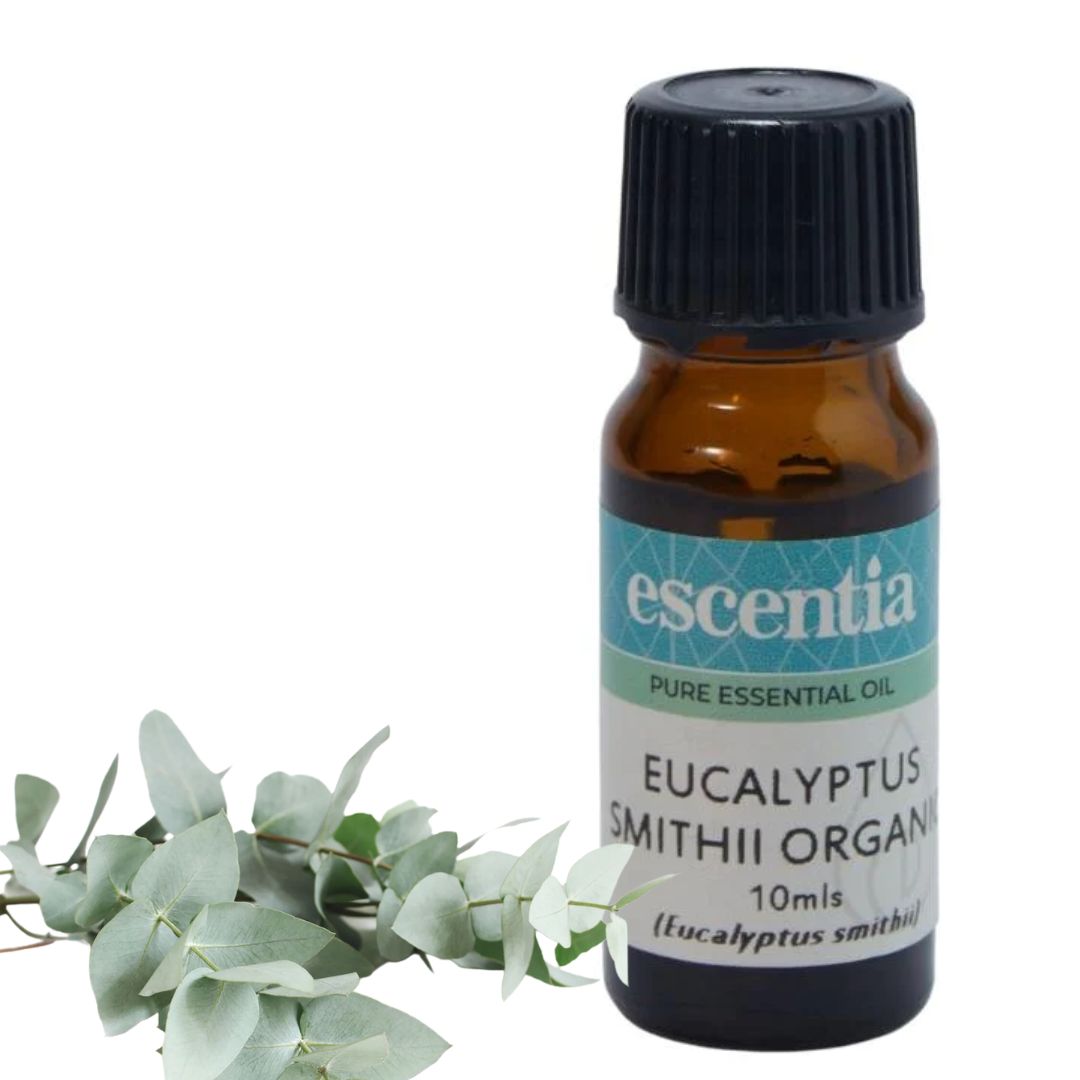 Escentia Organic Eucalyptus (smithii) Pure Essential Oil