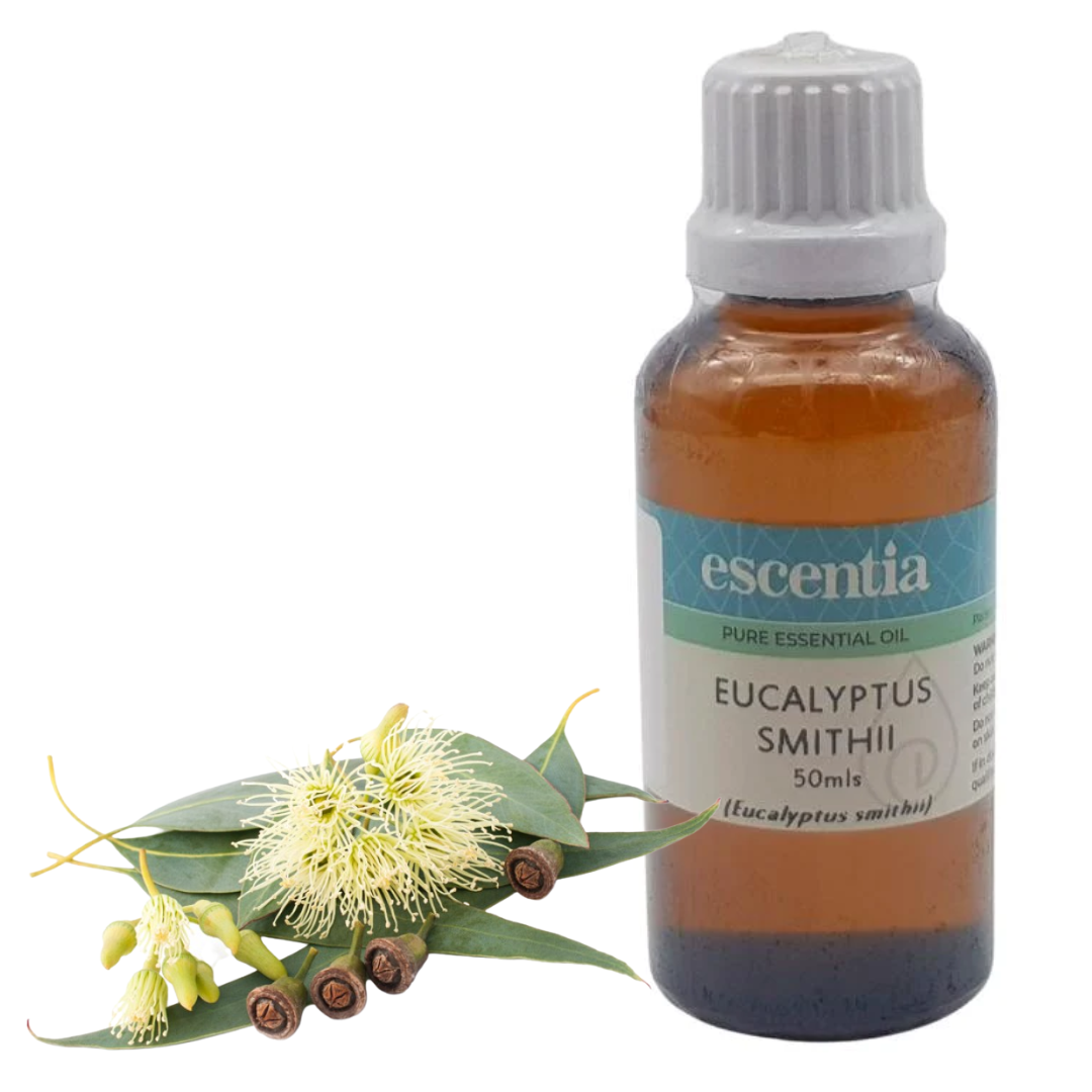 Escentia Eucalyptus (Smithii) Essential Oil