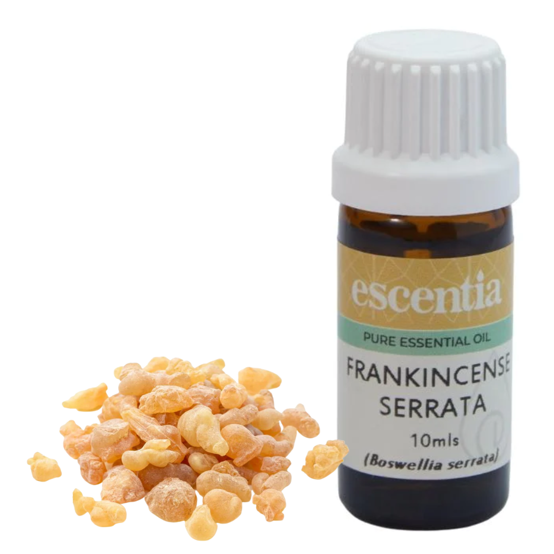 Frankincense Serrata Essential Oil