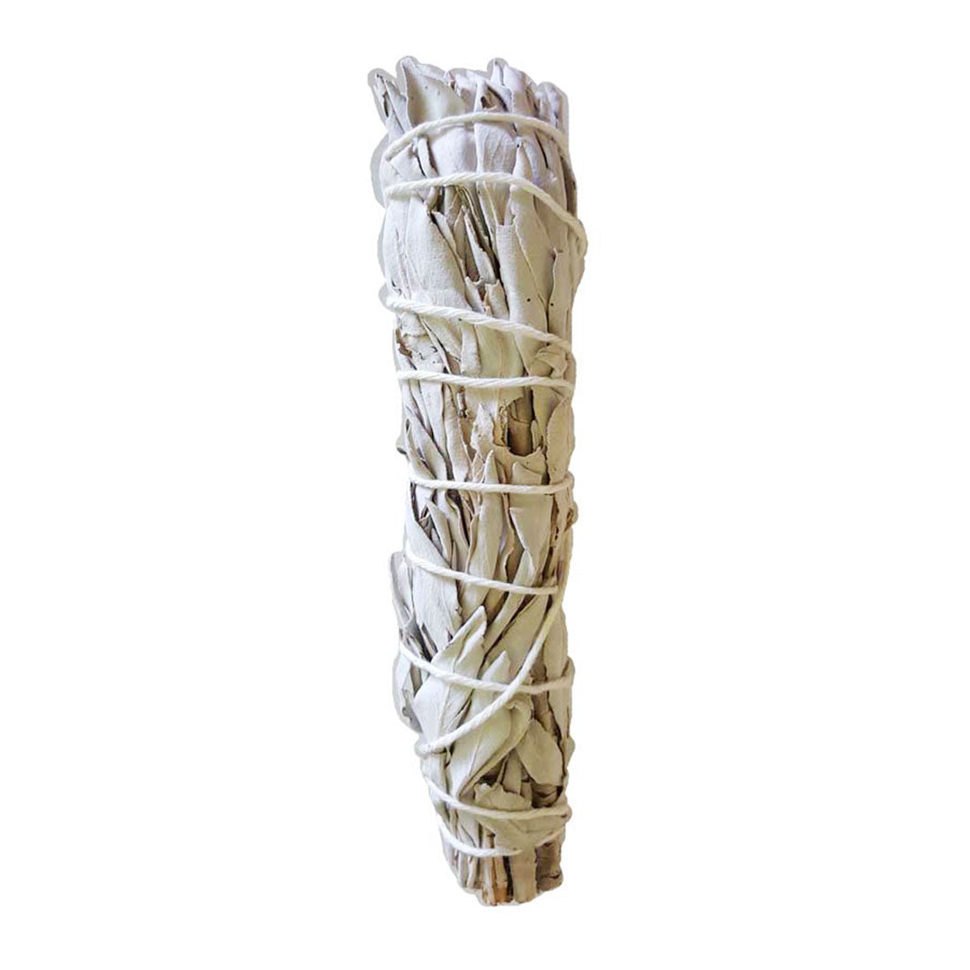 White Sage Smudge Stick - Californian, Organic 26cm