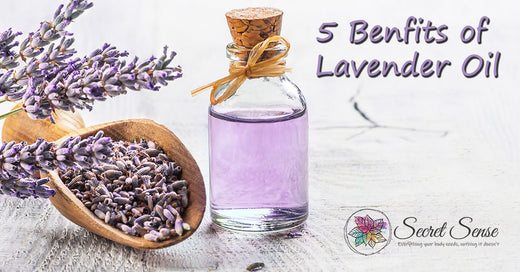 5 Benfits of Lavender