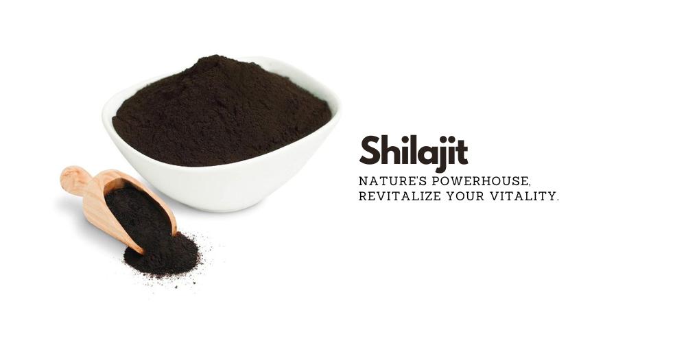 Shilajit Powder