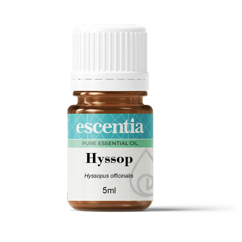 Escentia Hyssop Pure Essential Oil