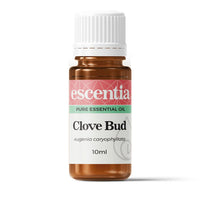 Escentia Clove Bud Pure Essential Oil