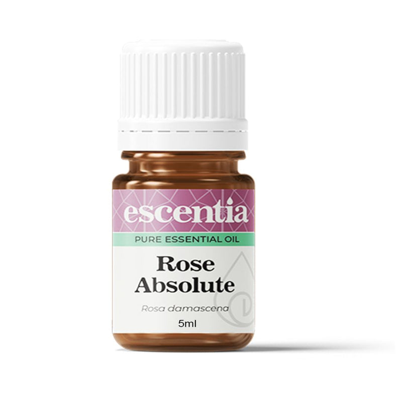 Escentia Rose Absolute Pure Essential Oil