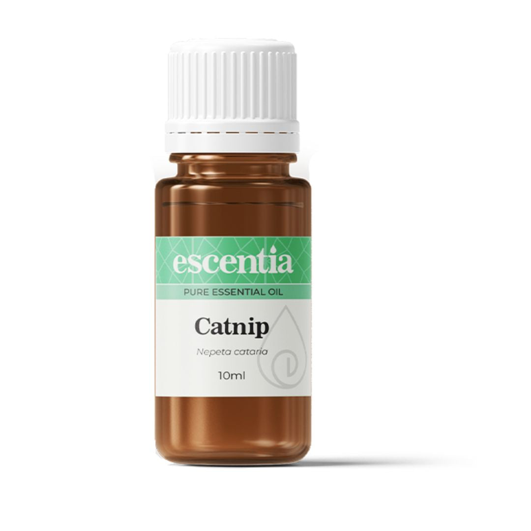 Escentia Natural Catnip Essential Oil