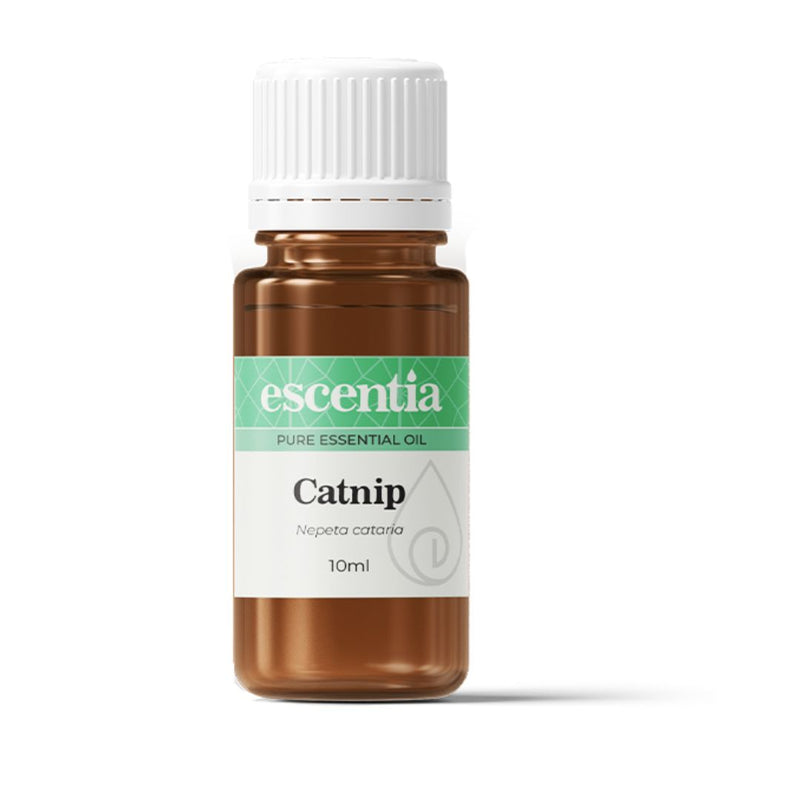 Escentia Natural Catnip Essential Oil