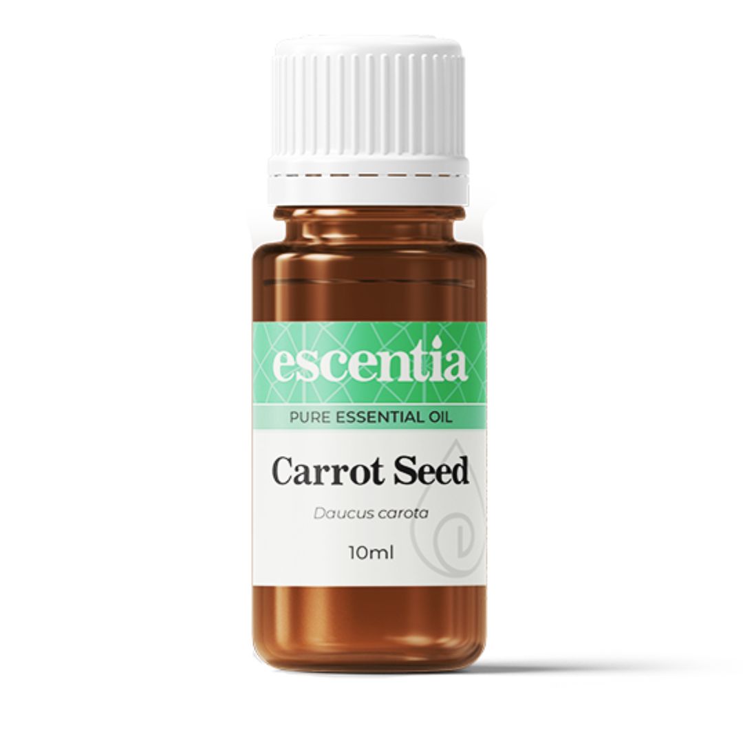 Carrot Seed Pure Essential Oil 