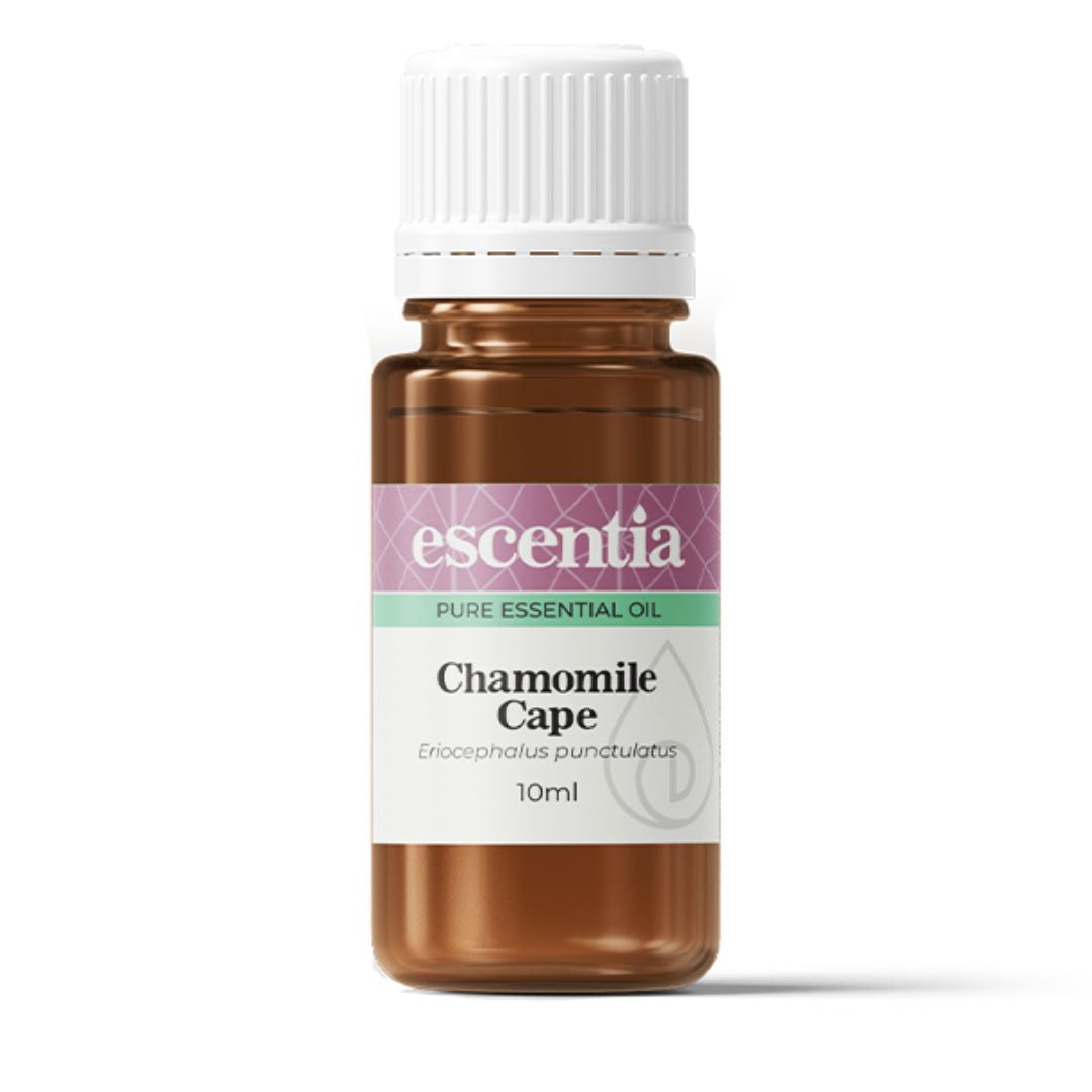Cape Camomile Essential Oil bottle