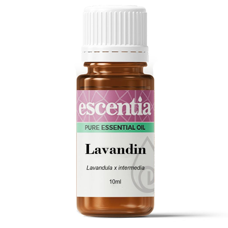 Escentia Lavandin Pure Essential Oil