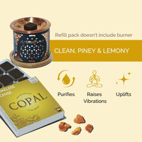 Aromatherapy product with copal incense and burner on a beige background