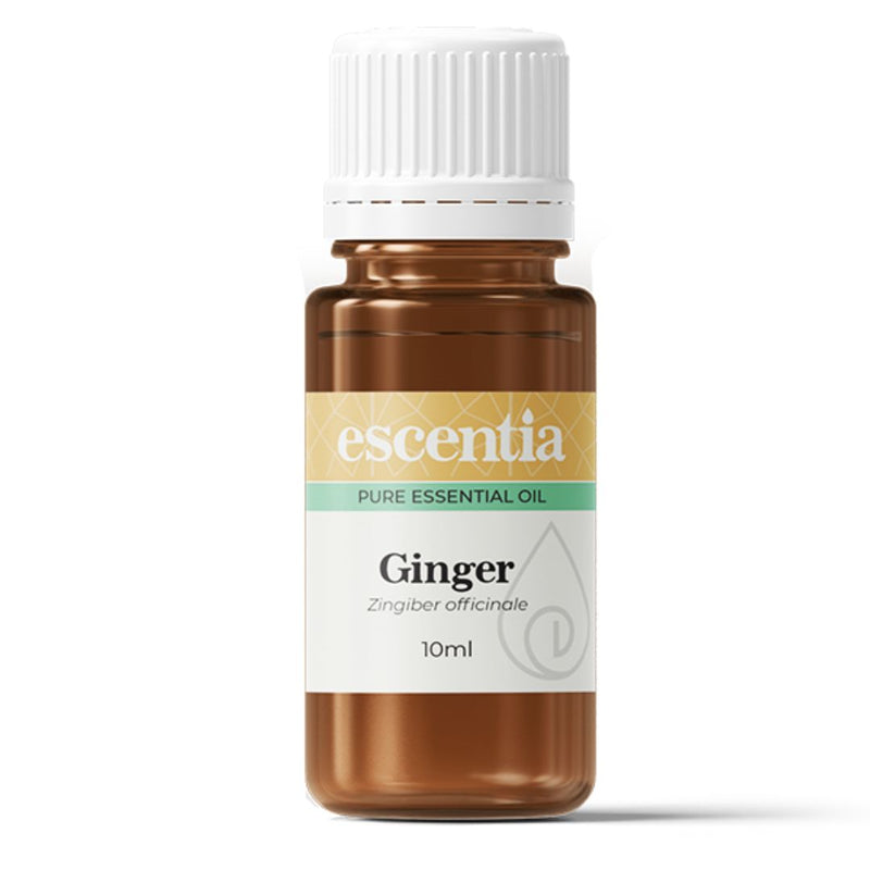 Escentia Ginger Pure Essential Oil