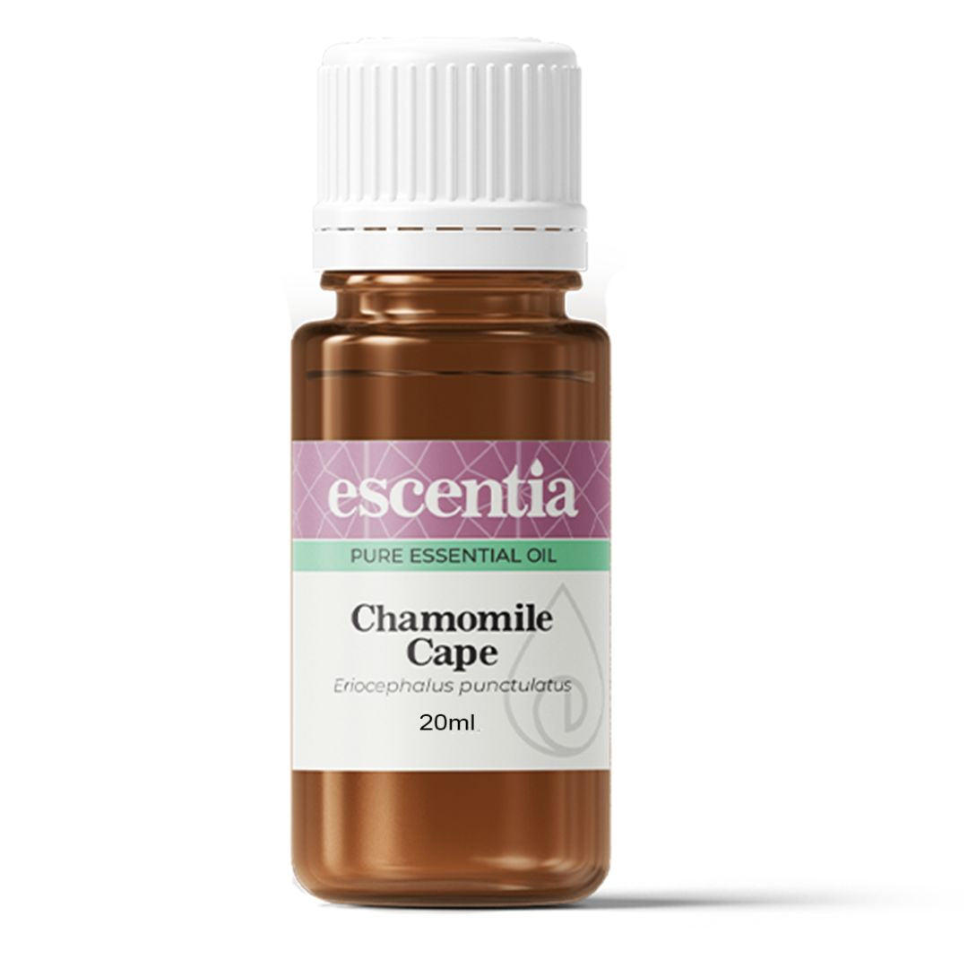 Cape Camomile Essential Oil bottle