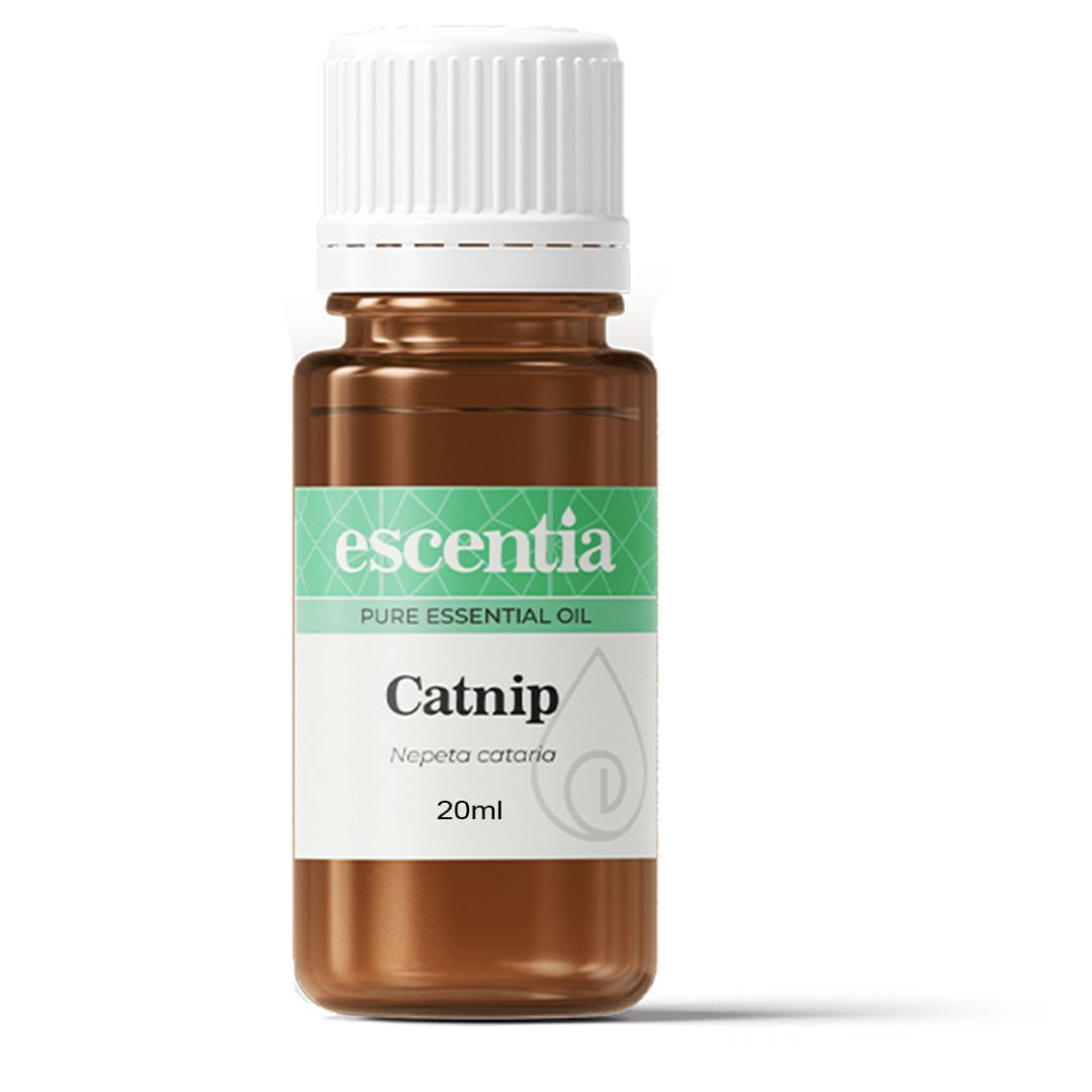 Escentia Natural Catnip Essential Oil