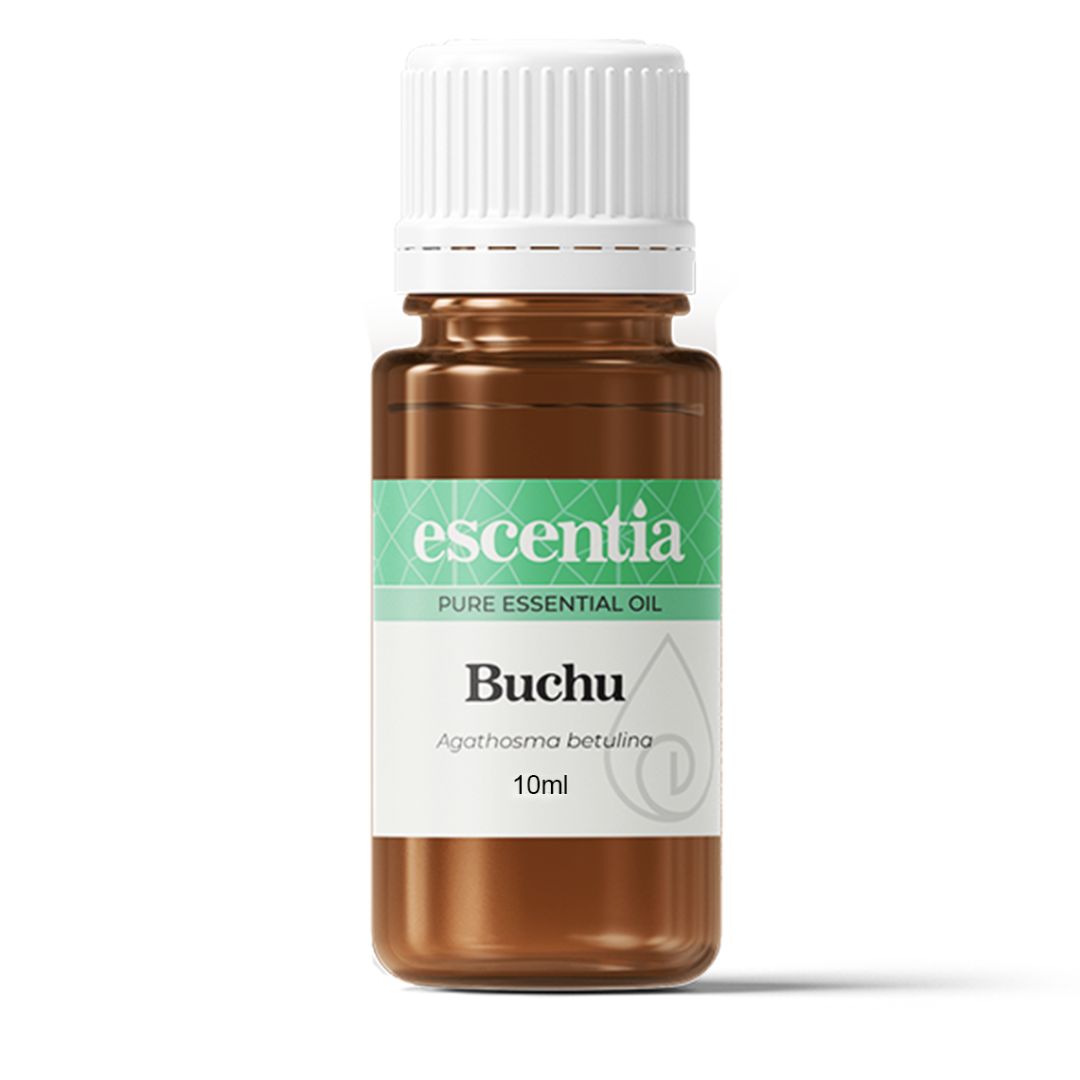 Escentia Buchu Pure Essential Oil
