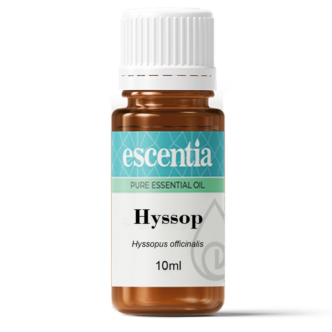 Escentia Hyssop Pure Essential Oil