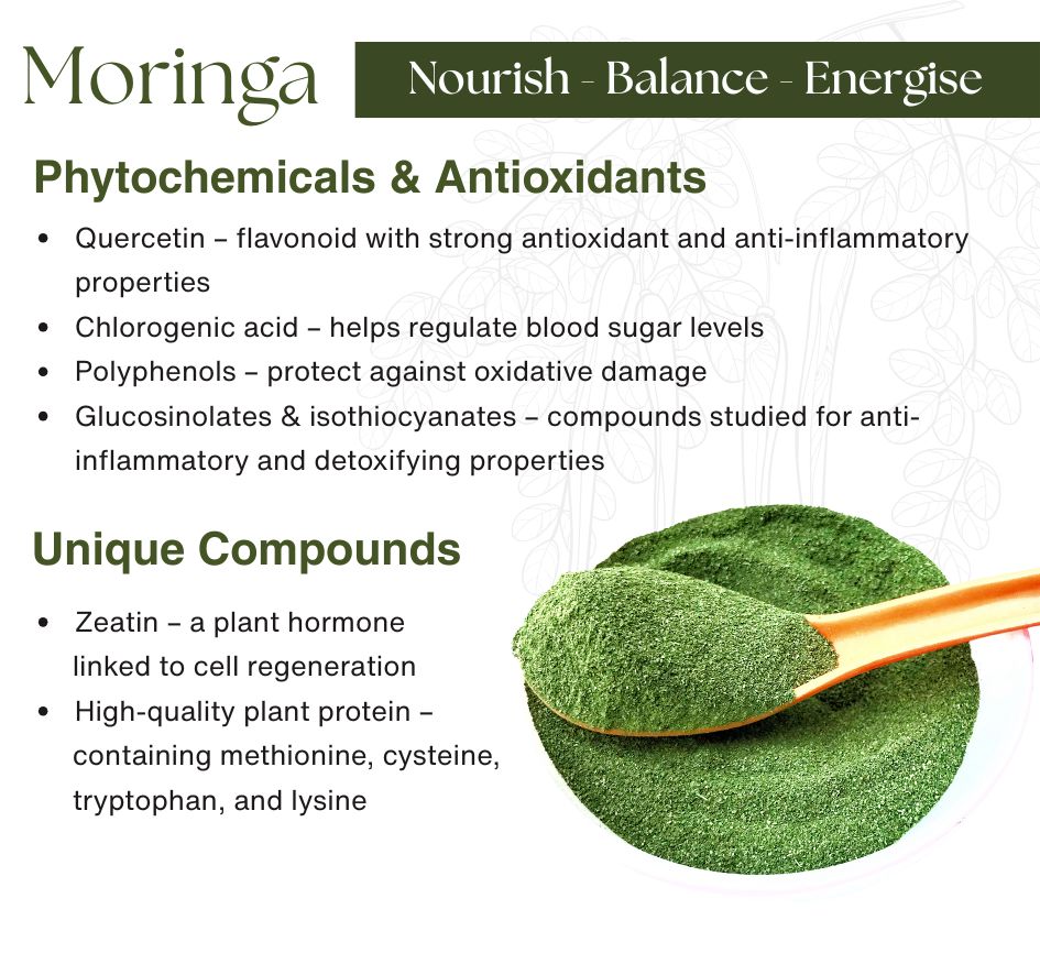 Moringa powder with a spoonful on a white background, featuring text about its phytochemicals, antioxidants, and unique compounds.