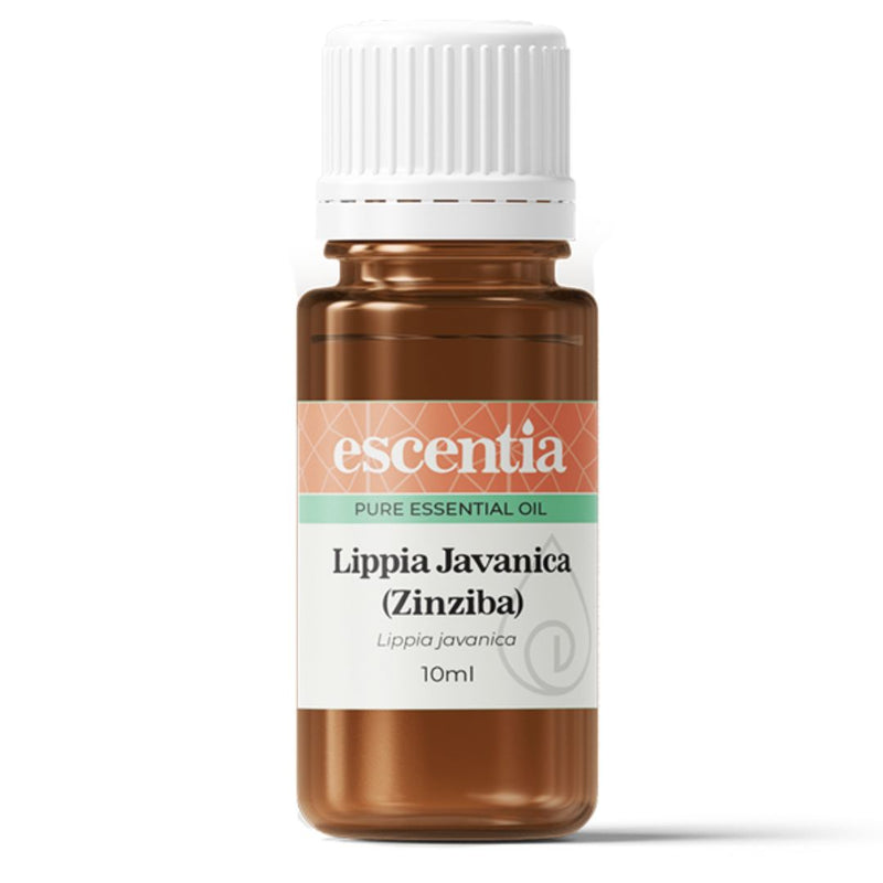 Escentia Lippia Javanica (Zinziba) Pure Essential Oil