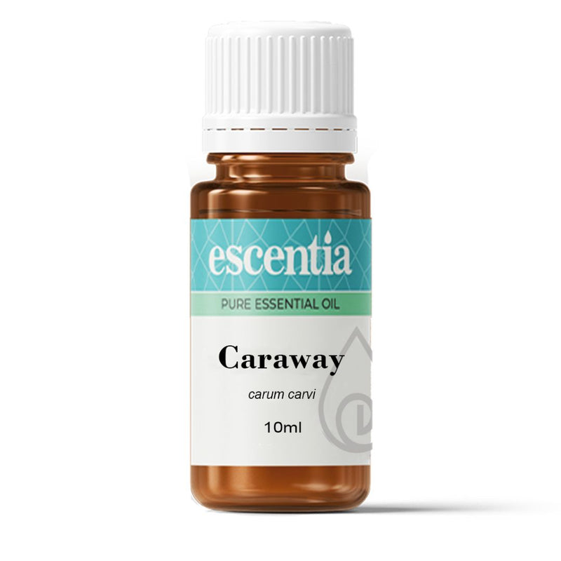Escentia Caraway (Carum carvi) Pure Essential Oil