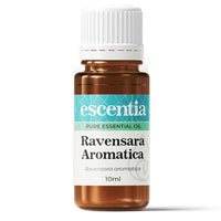 Escentia Ravensara Aromatica Pure Essential Oil