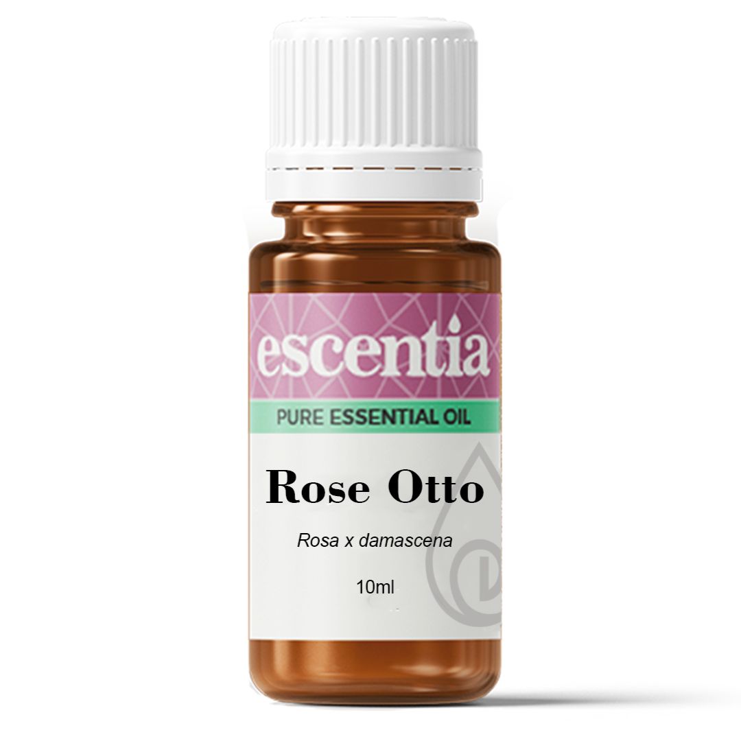 Escentia Rose Otto Pure Essential Oil