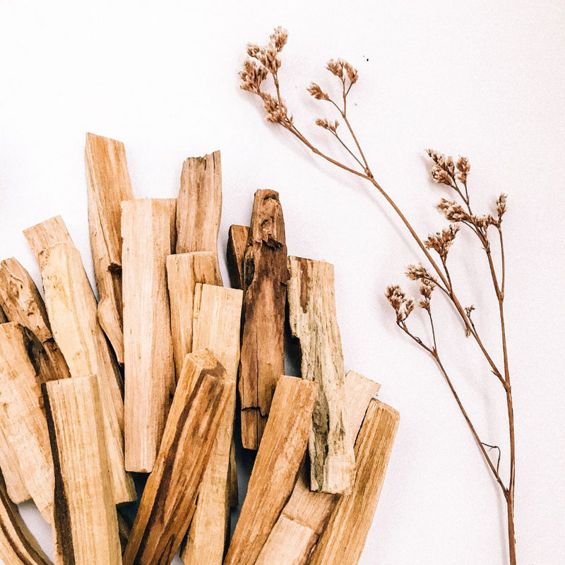 Palo Santo Holy Wood – 5 Stick Pack (Smudge Sticks)