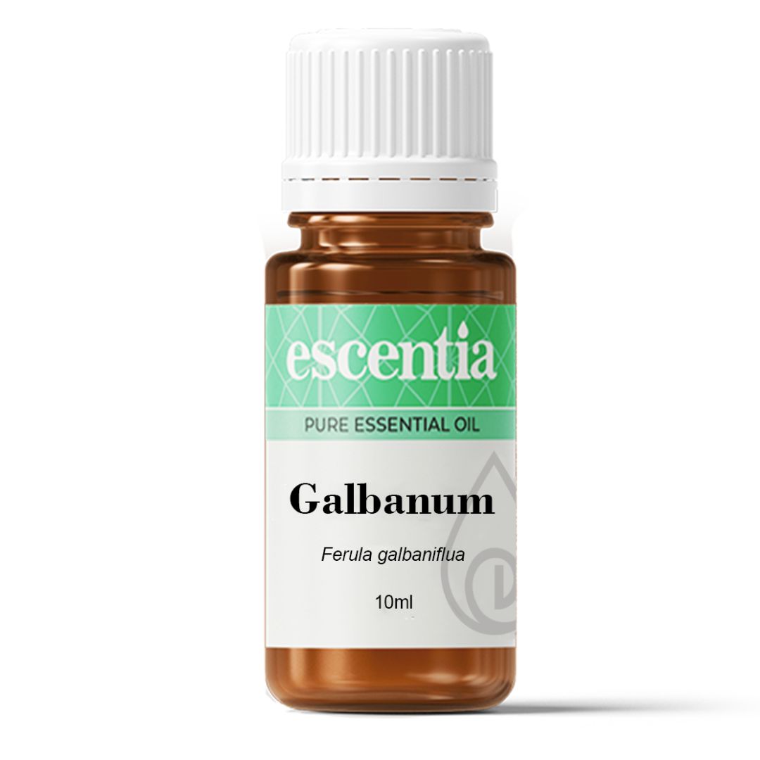 Escentia Galbanum Pure Essential Oil