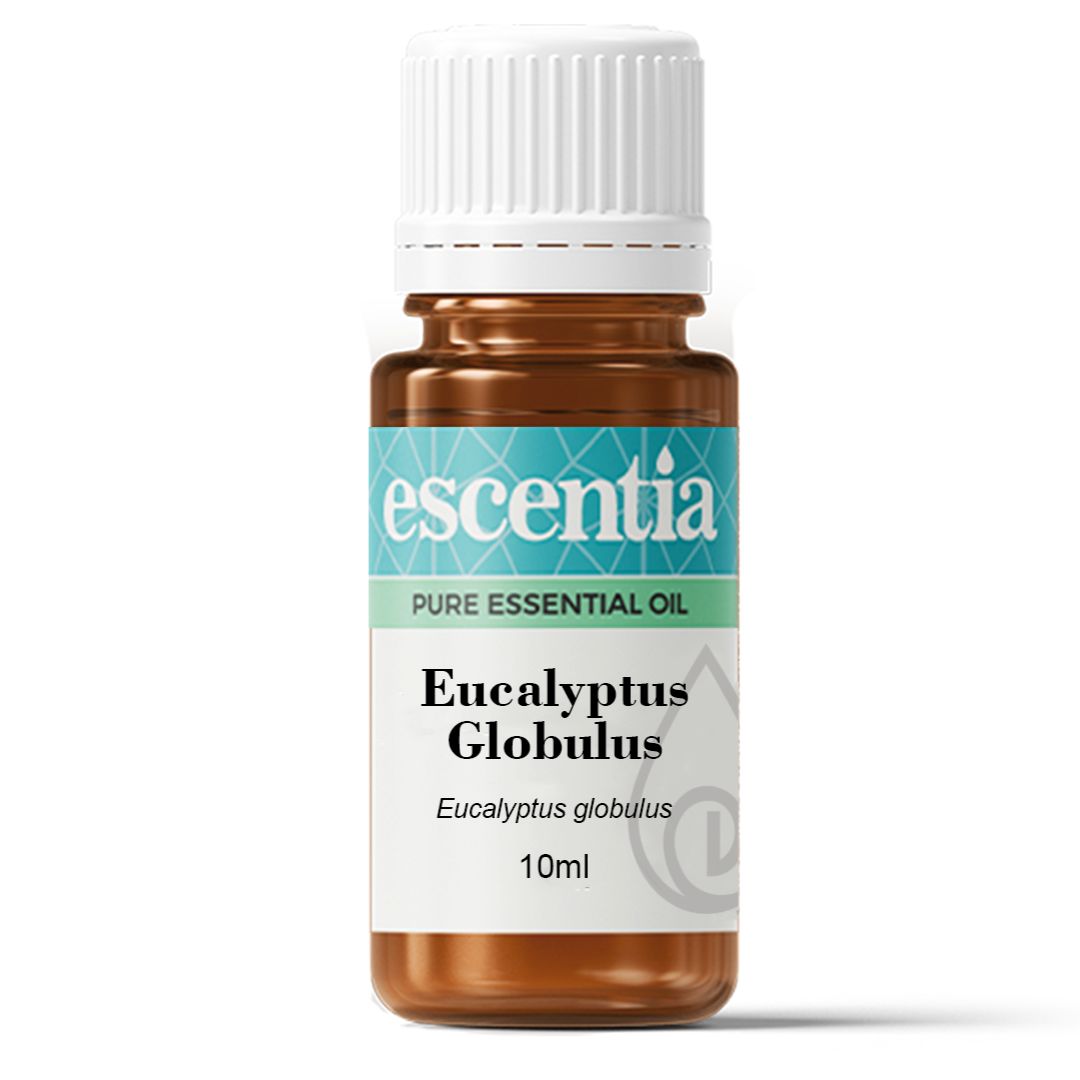 Escentia Eucalyptus Globulus Pure Essential Oil