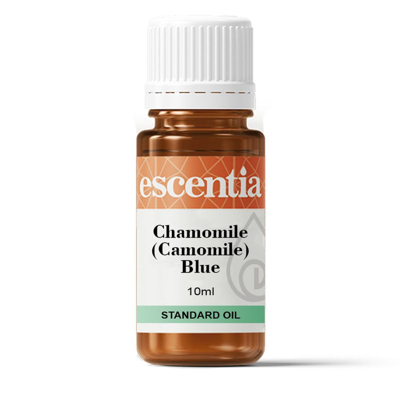 Escentia Chamomile (Camomile) Blue Standard Oil