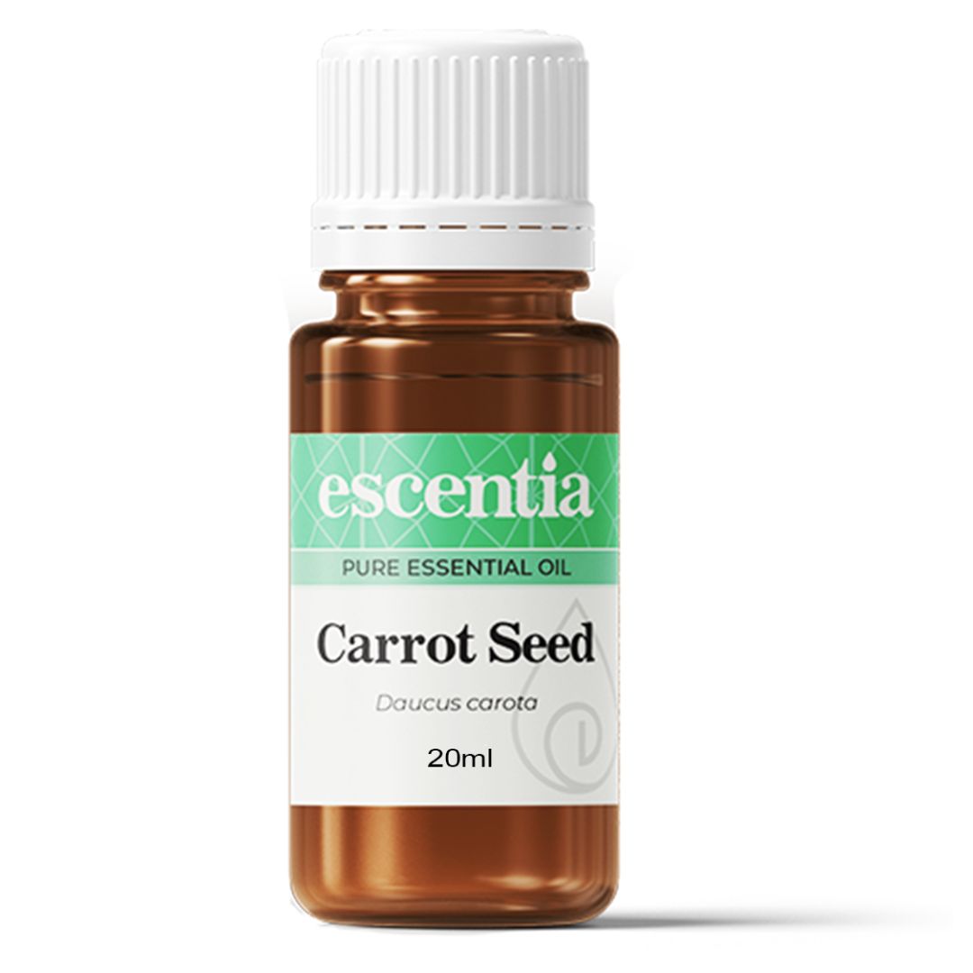 Carrot Seed Pure Essential Oil 