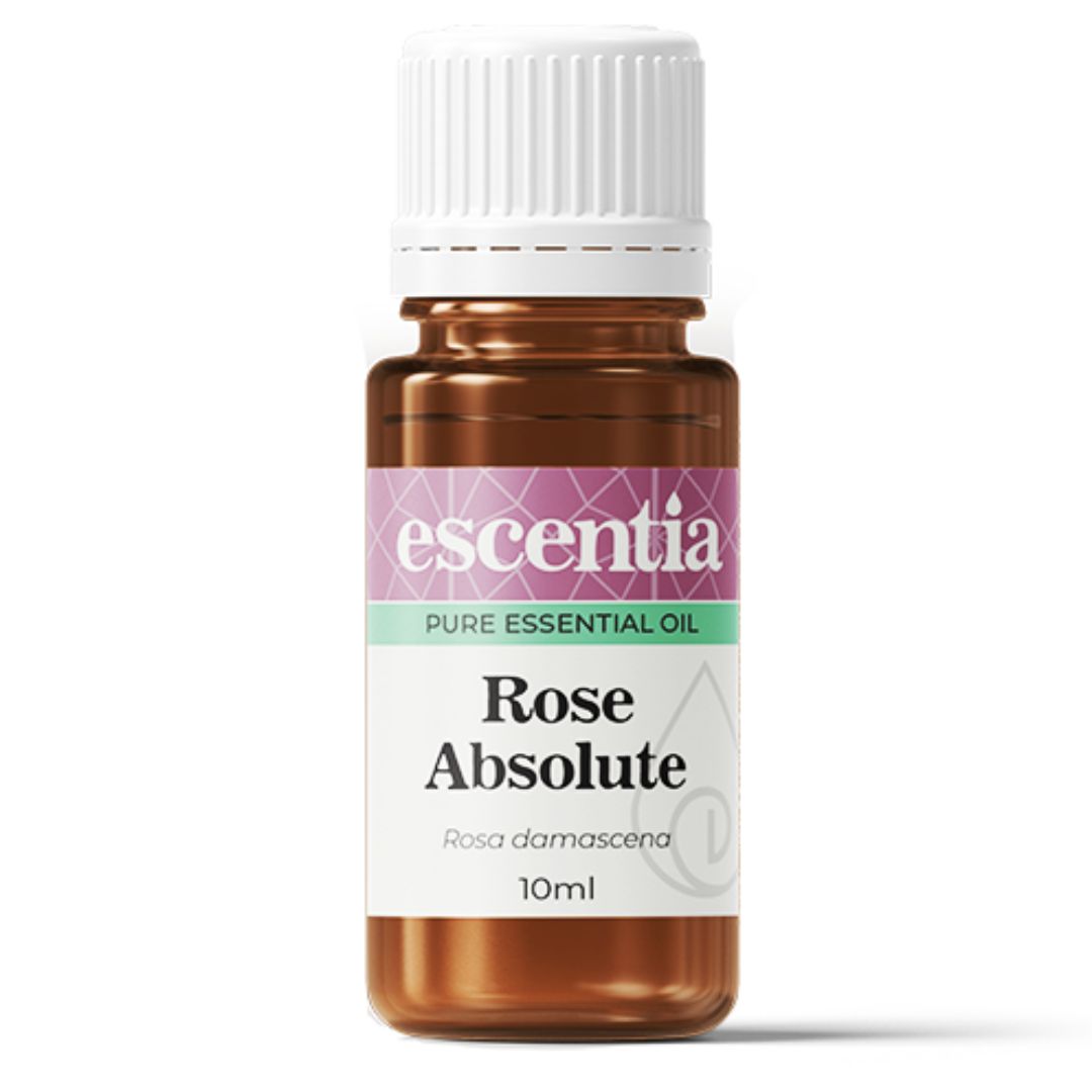 Escentia Rose Absolute Pure Essential Oil