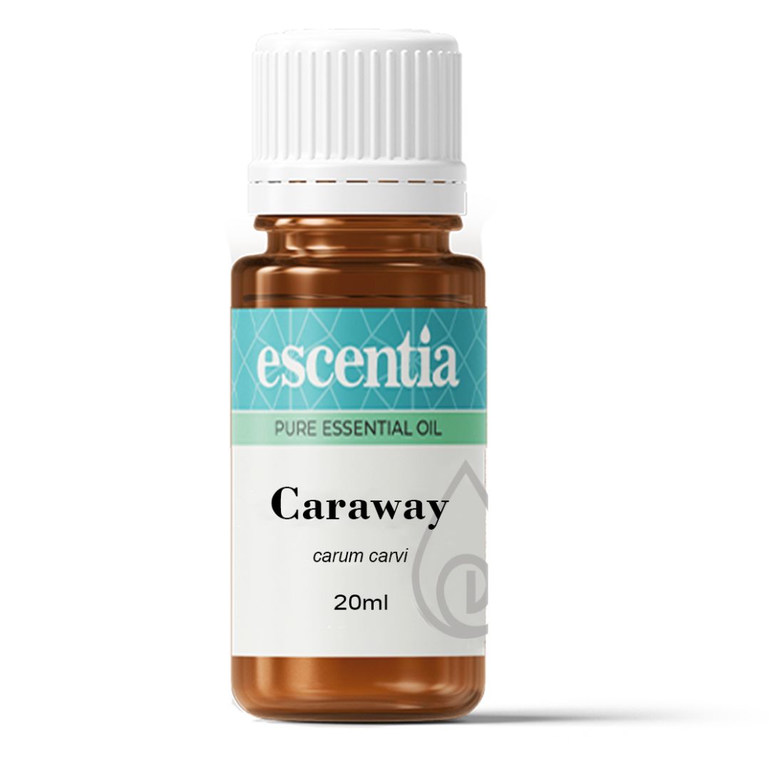 Escentia Caraway (Carum carvi) Pure Essential Oil