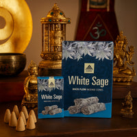 Wellness Mantra White Sage Backflow Incense Cones (10)