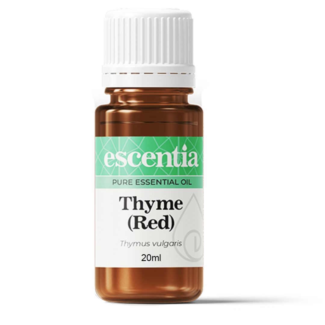 Escentia Thyme (Red) Pure Essential Oil