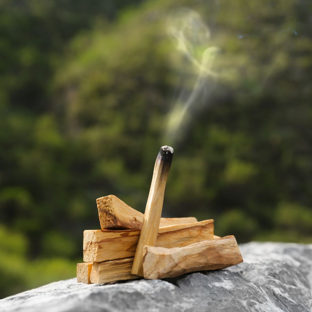 Palo Santo Holy Wood – 5 Stick Pack (Smudge Sticks)