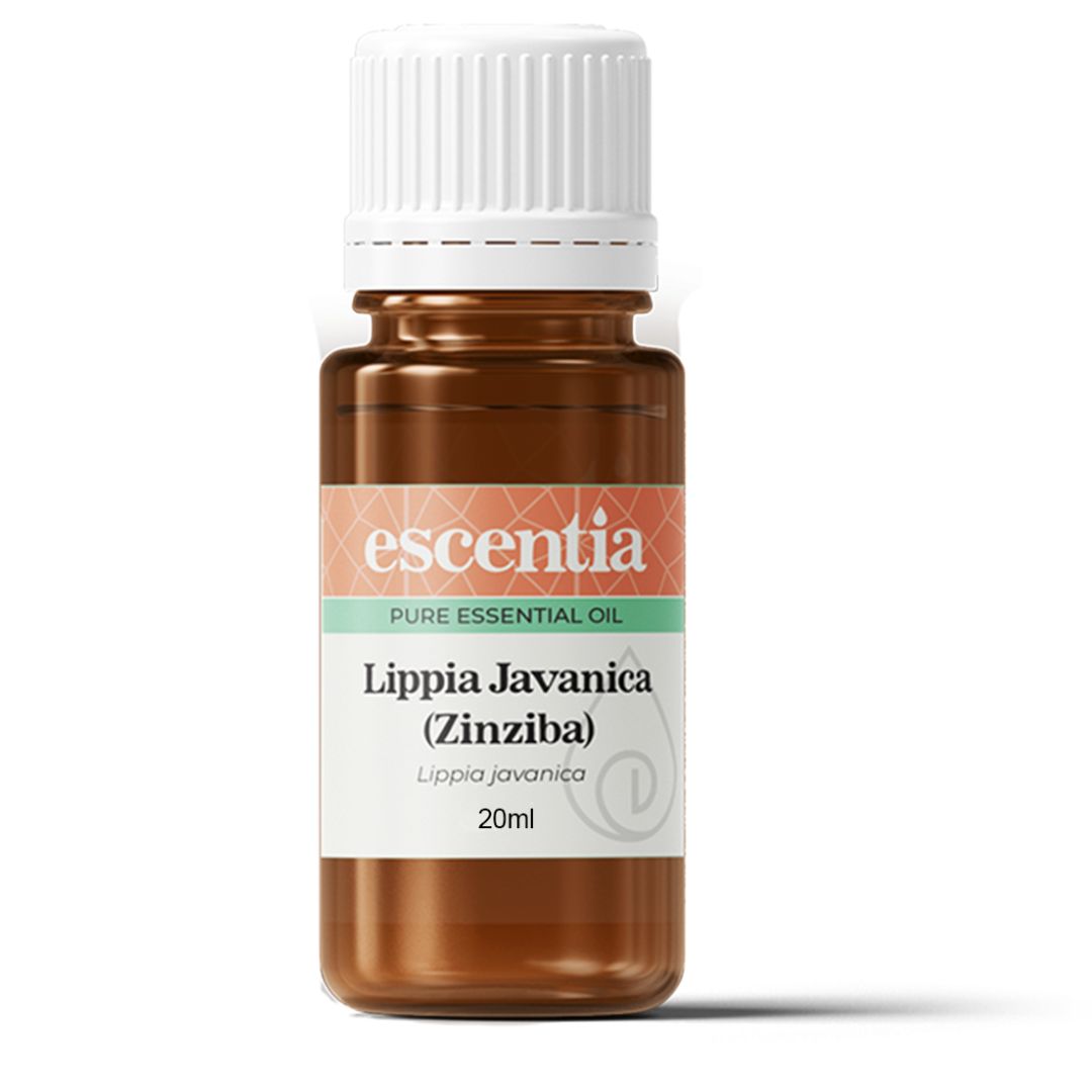 Escentia Lippia Javanica (Zinziba) Pure Essential Oil