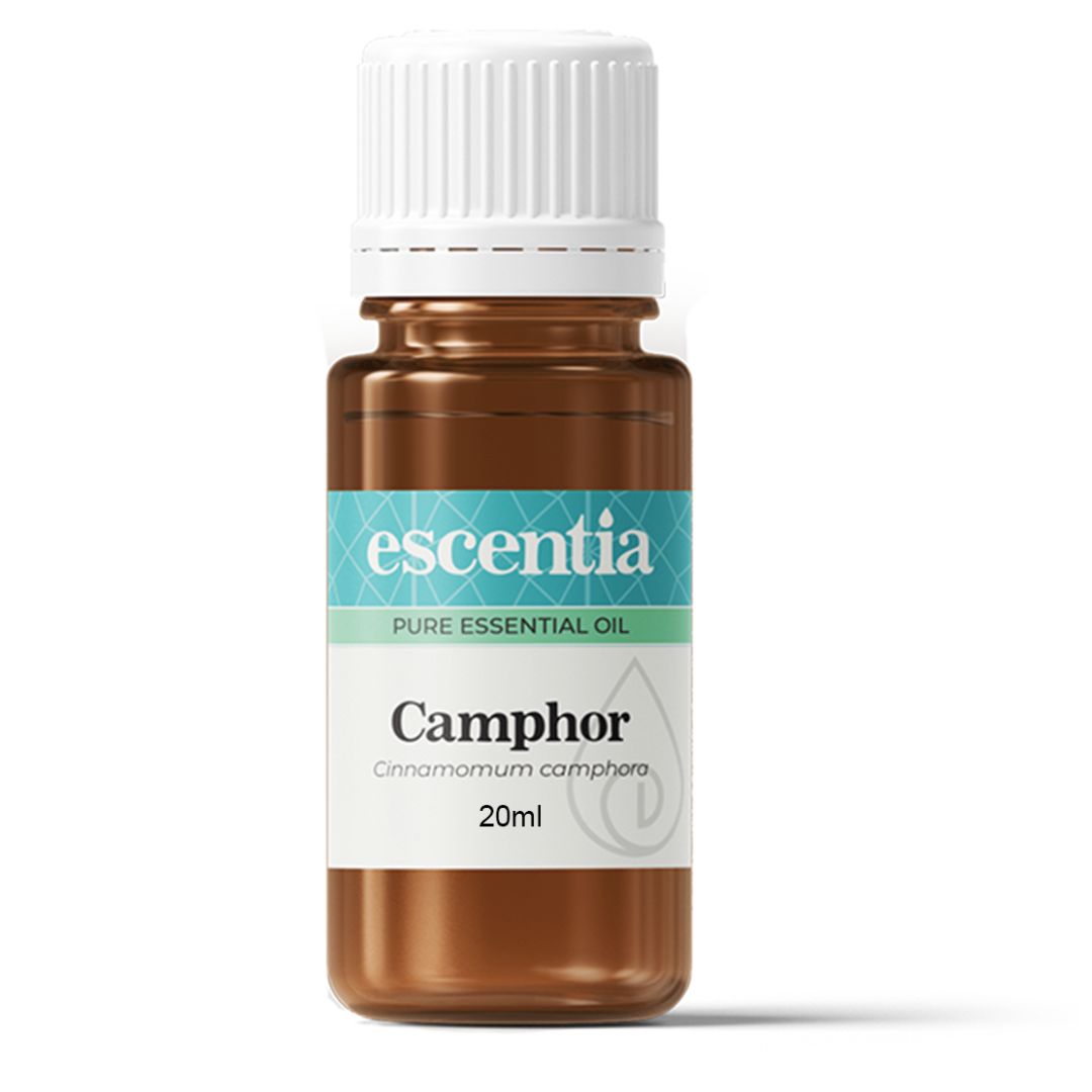 Escentia Camphor Pure Essential Oil