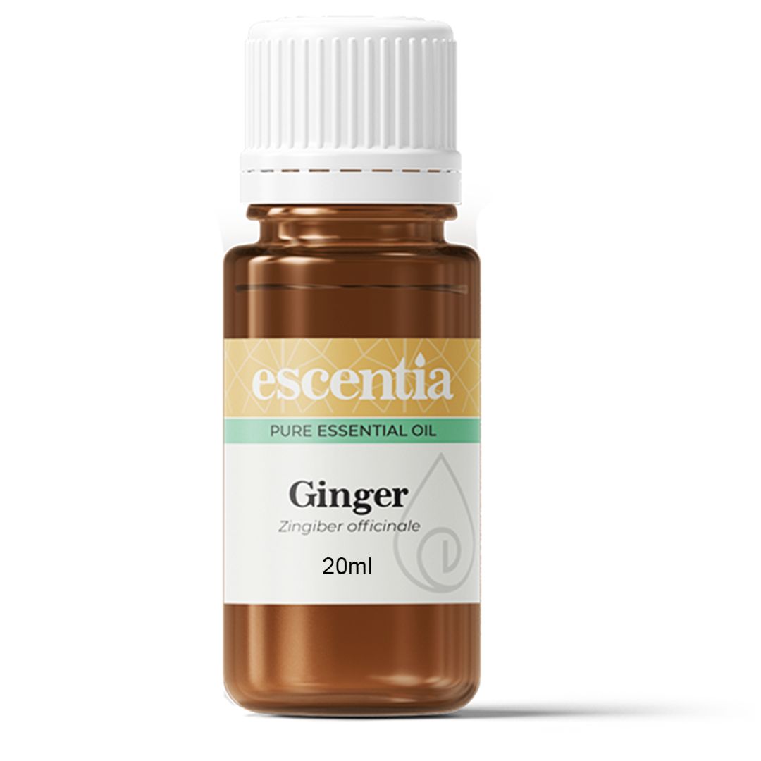 Escentia Ginger Pure Essential Oil