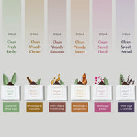 Assorted diffuser oil packaging with scents labeled on a light gray background